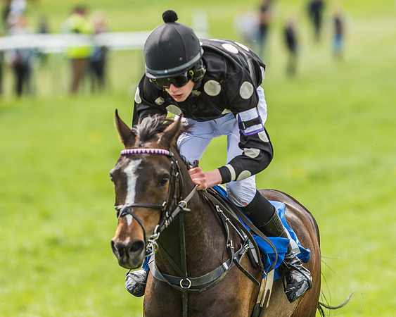Pony Race 3 - 148cm -97