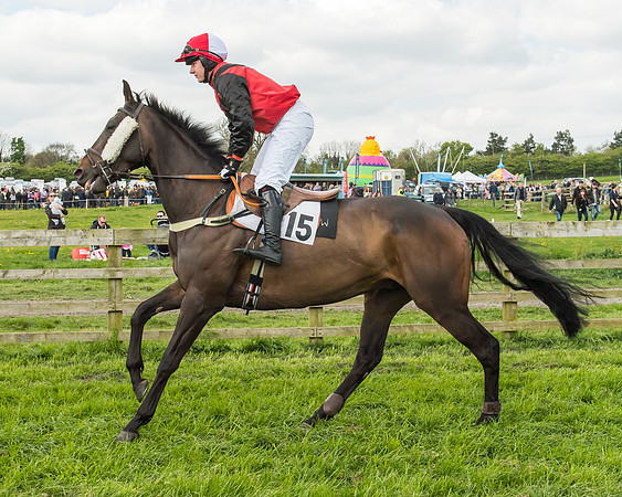 Race 2 - Open Maiden-2