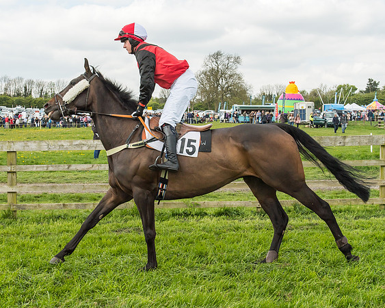 Race 2 - Open Maiden-3