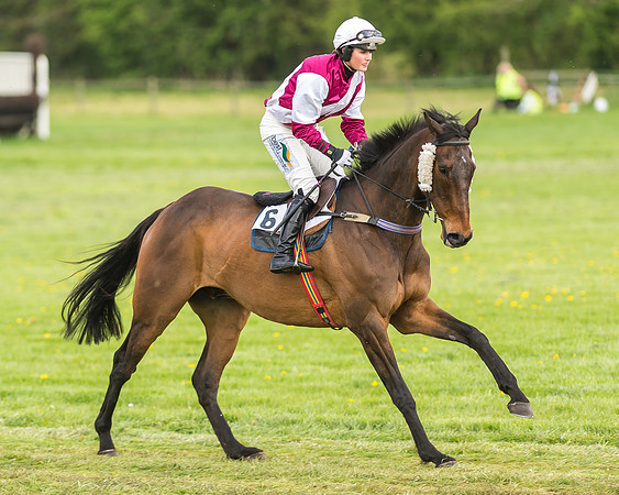 Race 2 - Open Maiden-8