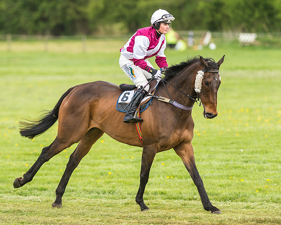 Race 2 - Open Maiden-9