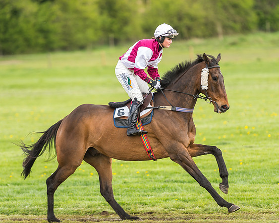 Race 2 - Open Maiden-10