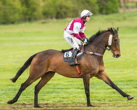 Race 2 - Open Maiden-11