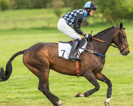Race 2 - Open Maiden-12