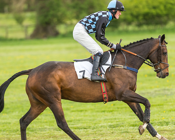 Race 2 - Open Maiden-13