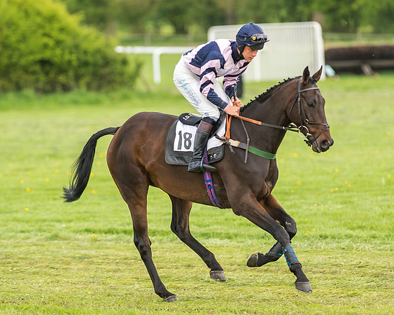 Race 2 - Open Maiden-14