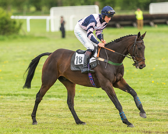Race 2 - Open Maiden-15