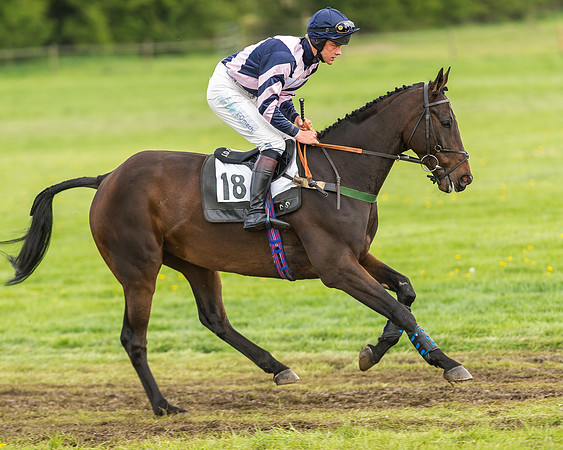 Race 2 - Open Maiden-16