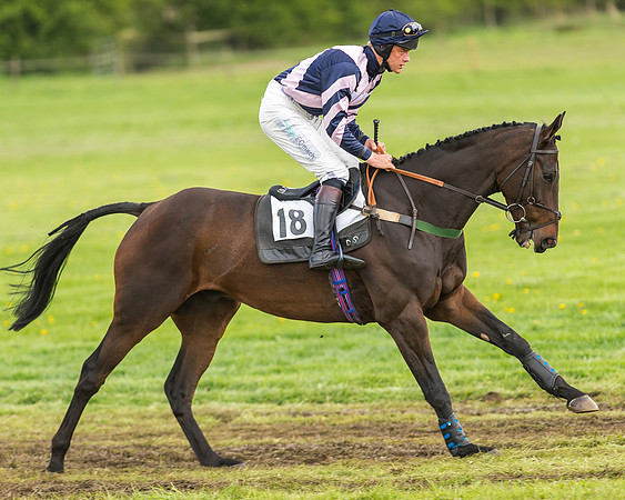 Race 2 - Open Maiden-17