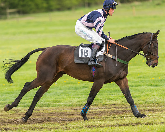 Race 2 - Open Maiden-18