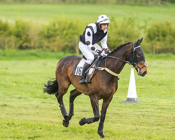 Race 2 - Open Maiden-19