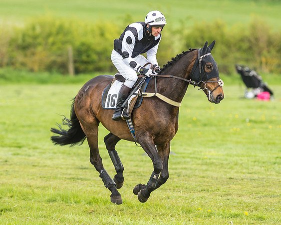 Race 2 - Open Maiden-20