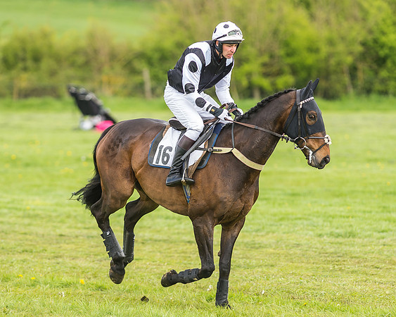 Race 2 - Open Maiden-21