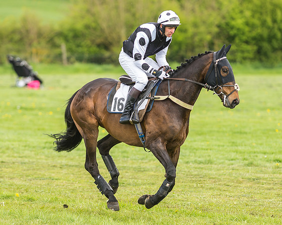 Race 2 - Open Maiden-22