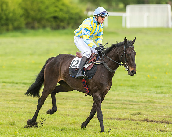 Race 2 - Open Maiden-23