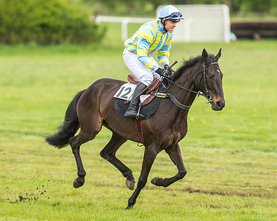 Race 2 - Open Maiden-24