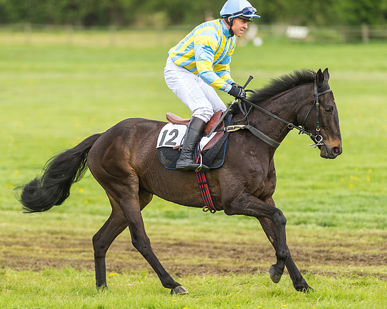 Race 2 - Open Maiden-25
