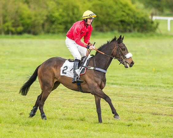Race 2 - Open Maiden-26