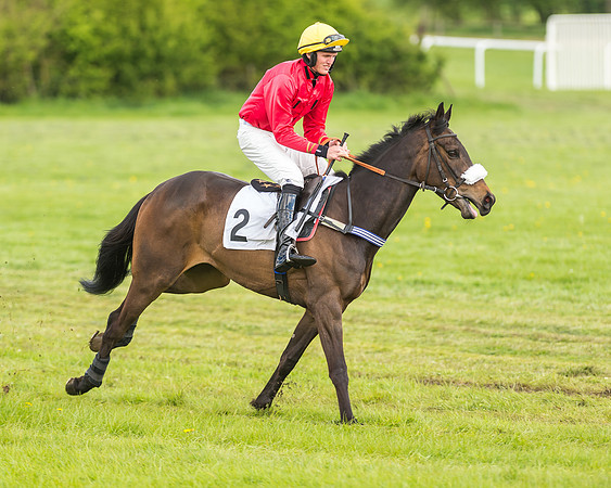 Race 2 - Open Maiden-27