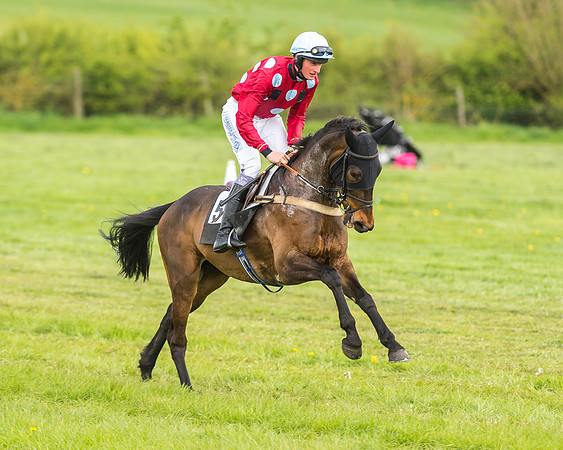 Race 2 - Open Maiden-28