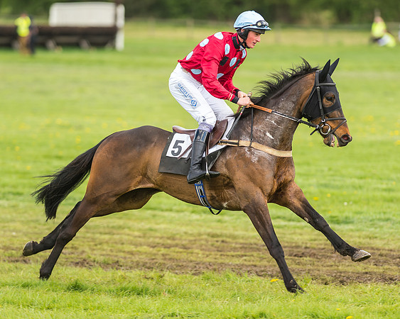 Race 2 - Open Maiden-30