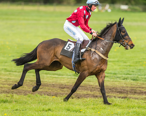 Race 2 - Open Maiden-31