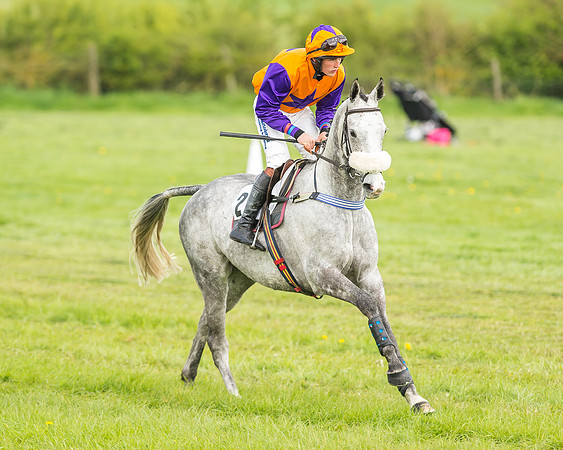 Race 2 - Open Maiden-32