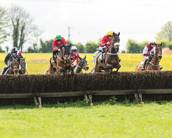 Race 2 - Open Maiden-37
