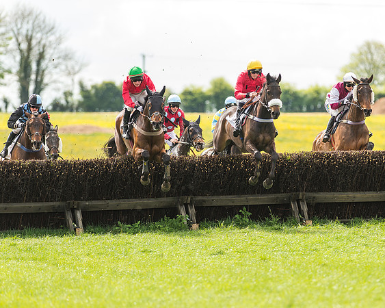 Race 2 - Open Maiden-38