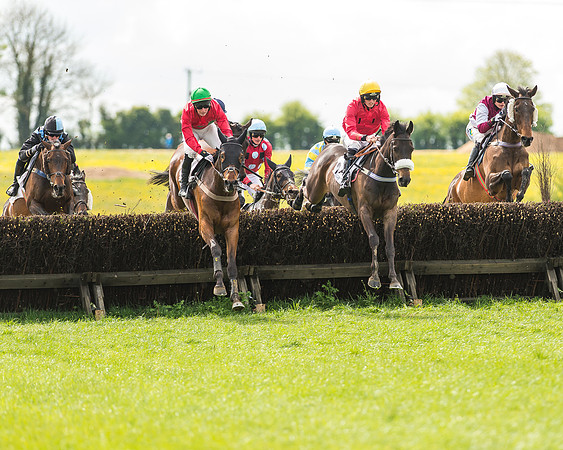 Race 2 - Open Maiden-39