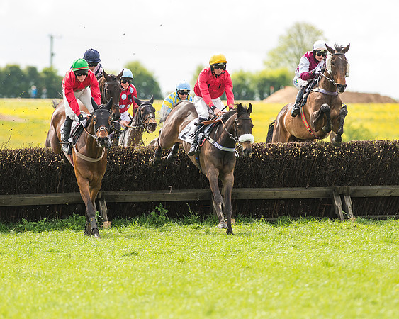 Race 2 - Open Maiden-40