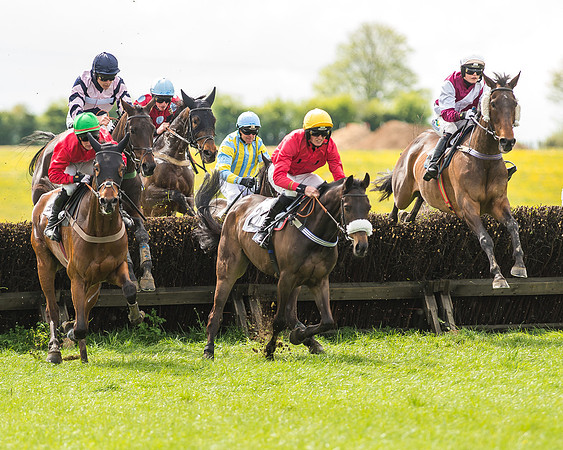 Race 2 - Open Maiden-42