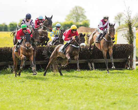 Race 2 - Open Maiden-43
