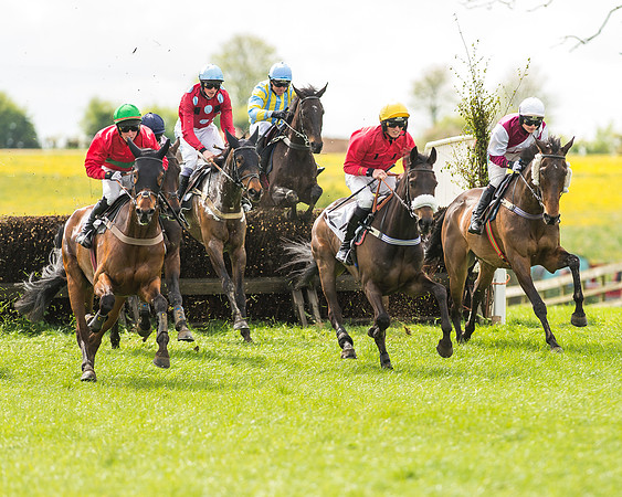 Race 2 - Open Maiden-44