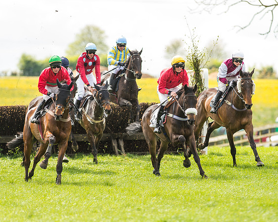 Race 2 - Open Maiden-45