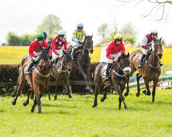 Race 2 - Open Maiden-46