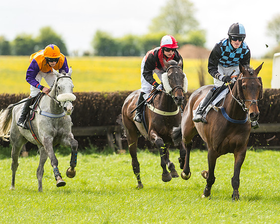 Race 2 - Open Maiden-48
