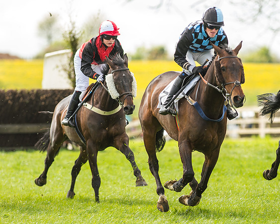Race 2 - Open Maiden-49