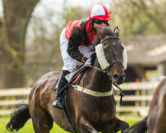 Race 2 - Open Maiden-51