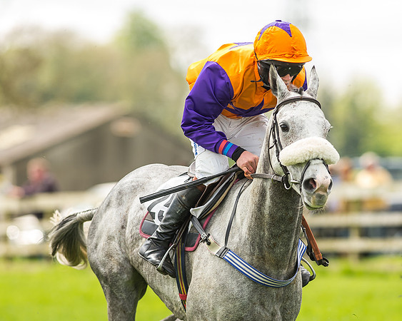 Race 2 - Open Maiden-53