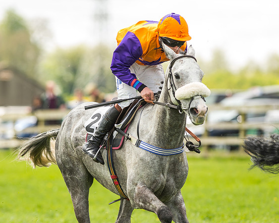 Race 2 - Open Maiden-54