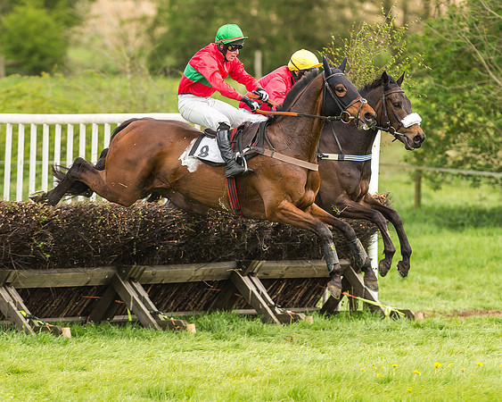 Race 2 - Open Maiden-57