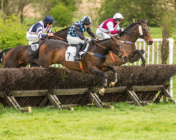 Race 2 - Open Maiden-59