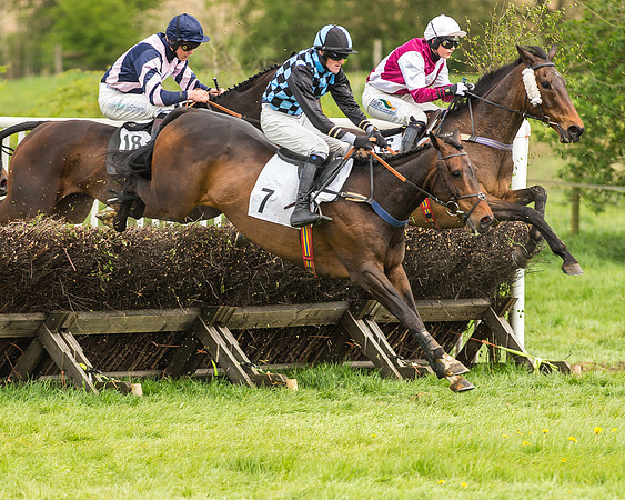 Race 2 - Open Maiden-60