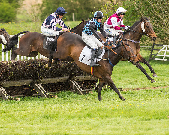 Race 2 - Open Maiden-61