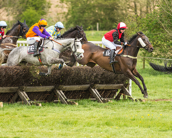 Race 2 - Open Maiden-62