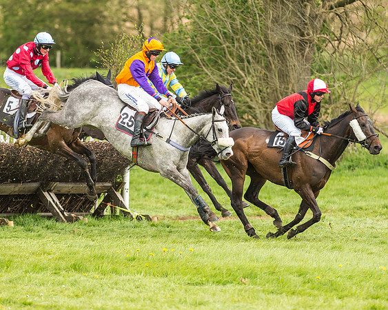 Race 2 - Open Maiden-65