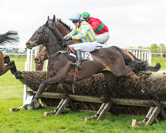 Race 2 - Open Maiden-72