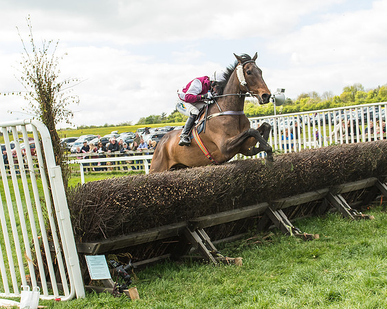 Race 2 - Open Maiden-98