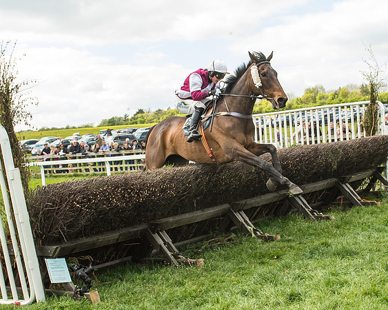 Race 2 - Open Maiden-99